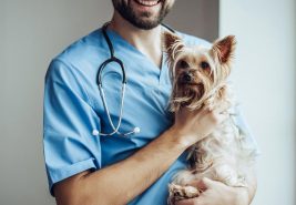 Mersin Kız Kalesi Veteriner Klinikleri